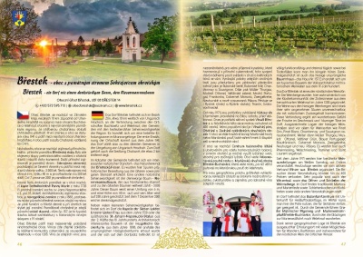 Kniha Putování za českým a moravským vínem